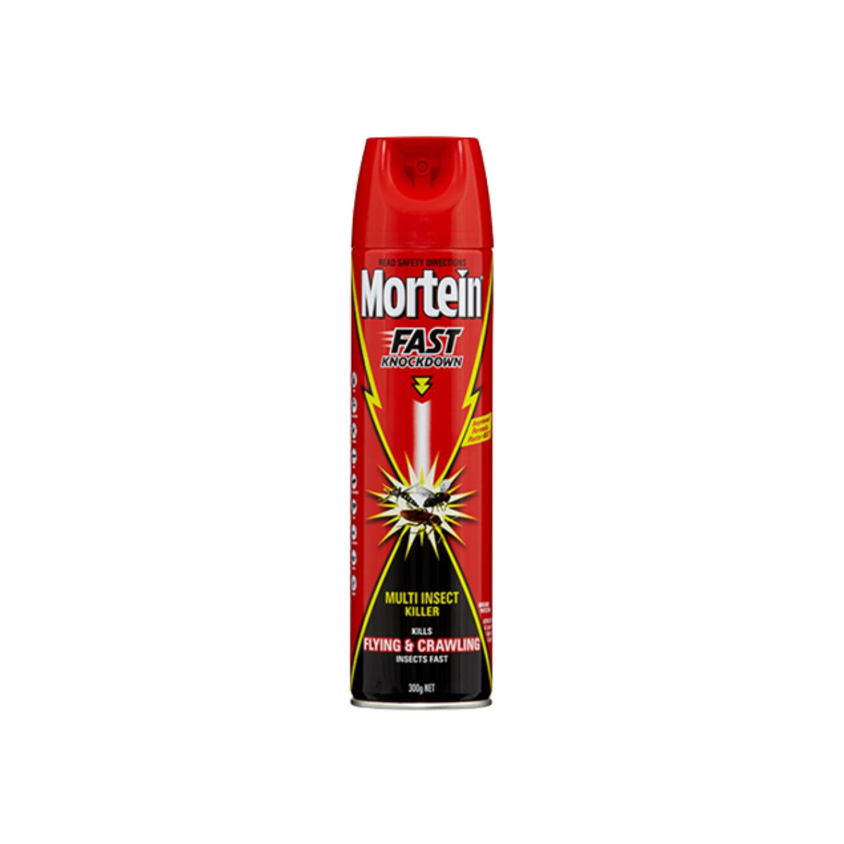 Mortein Fast Knockdown Multi Insect Killer Flying/Crawling Insects 300g - 06-FSFK300M - Each