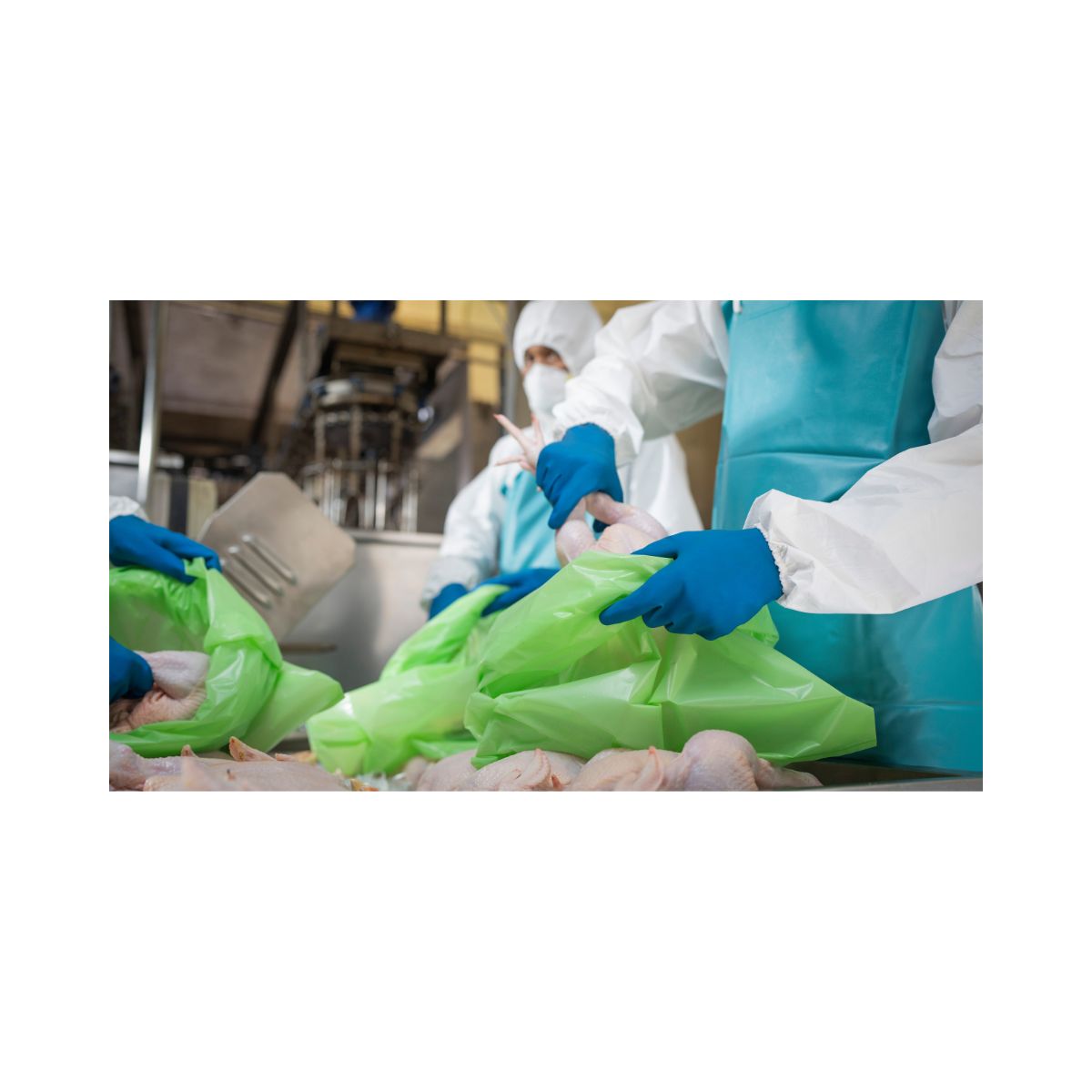 Ansell AlphaTec® 88-356 (Carton of 12 x Pack of 12 - 144 pairs)